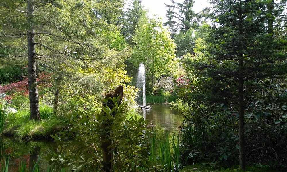 Kitty Coleman Woodland Gardens