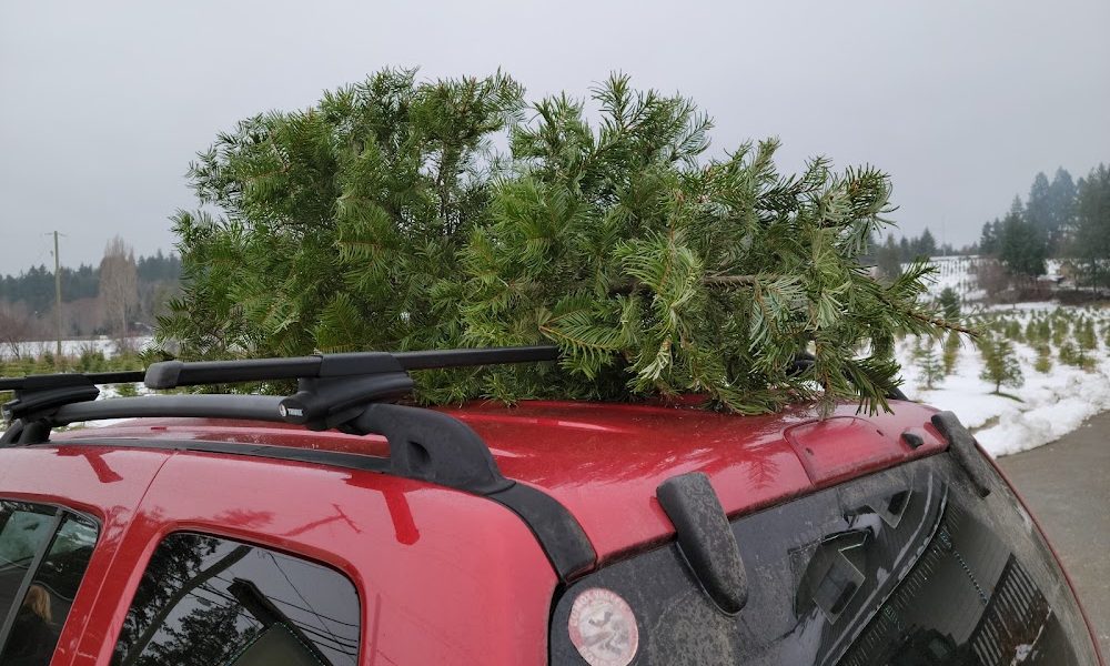 Mountain Ridge Tree Farms