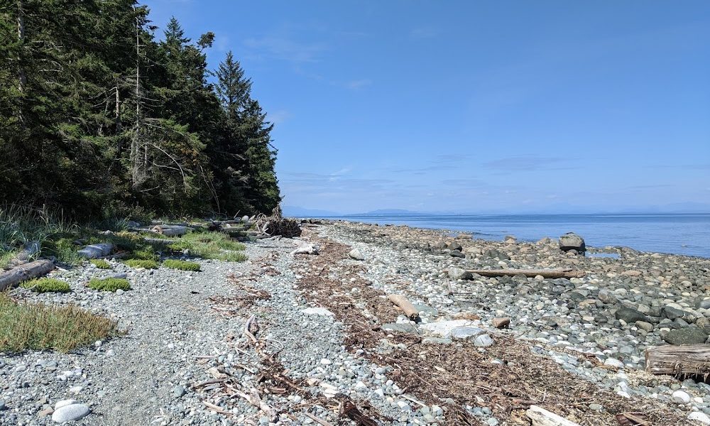 The McLoughlin Gardens