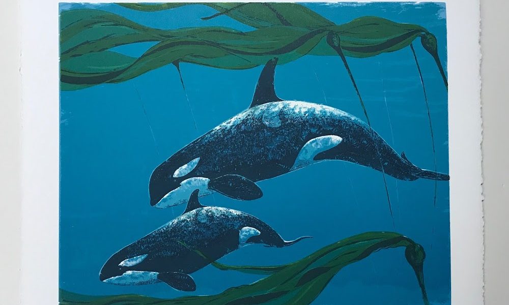 Silver Bowerbird Gallery