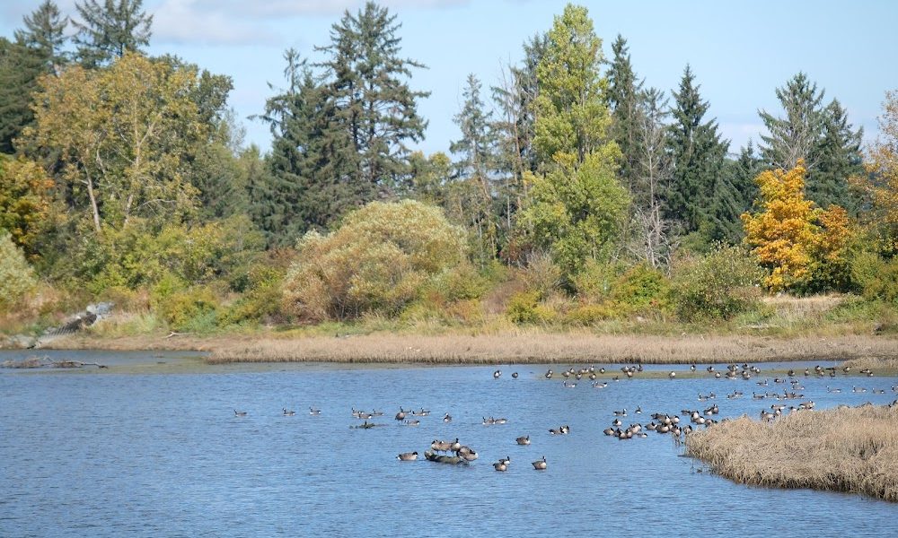 Courtenay Airpark (CAH3)