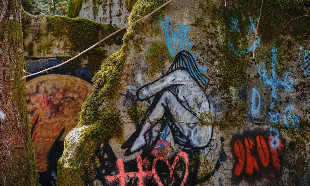 Puntledge River Recreation Trails