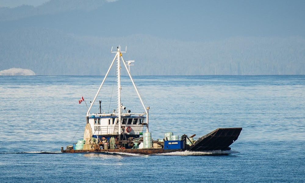 Sea Roamer Marine Services