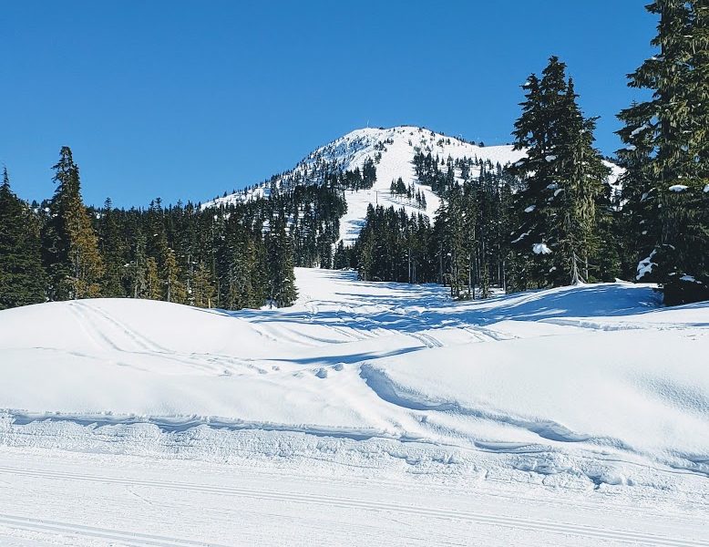 Vancouver Island Mountain Sports Society